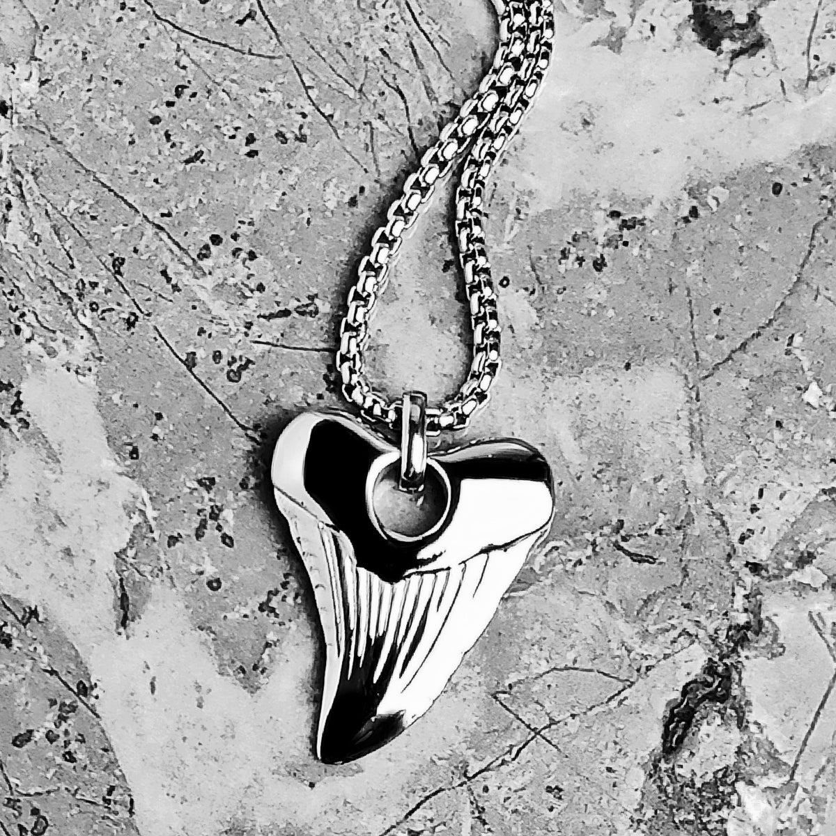 Collana con dente di squalo in argento