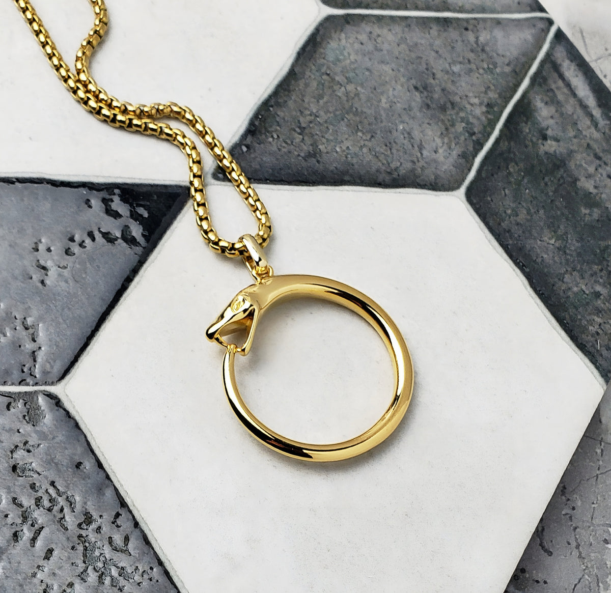 Ouroboros Ring Necklace