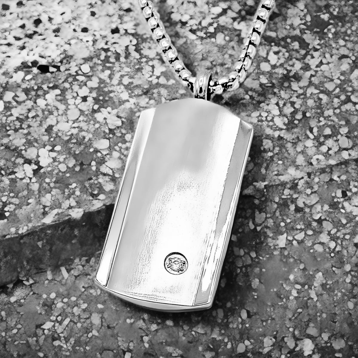CZ Dog Tag Necklace
